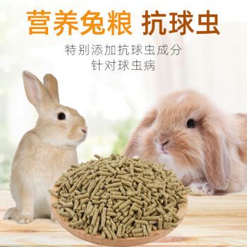 寵物兔兔糧?寵物兔兔糧一天吃多少!