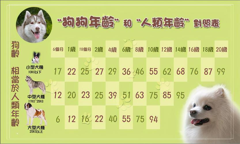 寵物年齡對照表?寵物年齡對照表圖片!