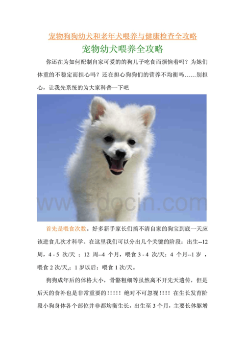 寵物飼養方法?寵物飼養方法by!