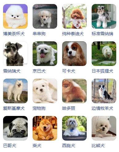 寵物全知道?寵物全部!