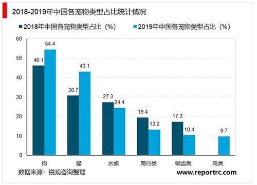 泰國寵物市場?泰國寵物市場分析!