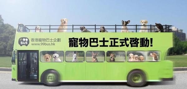 長途大巴能帶寵物嗎?長途大巴可以帶寵物嗎!