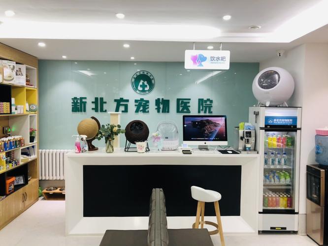 北方寵物?北方寵物醫院!