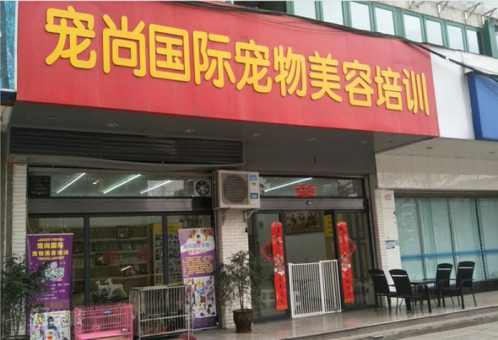 成都寵物美容店?成都寵物美容店哪家最好!