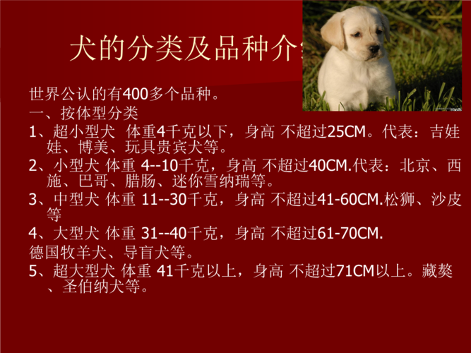 寵物的來源?寵物的來源有哪四種類型!