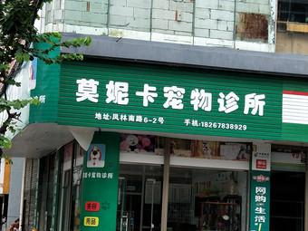 平陽寵物店?平陽寵物店在哪里!