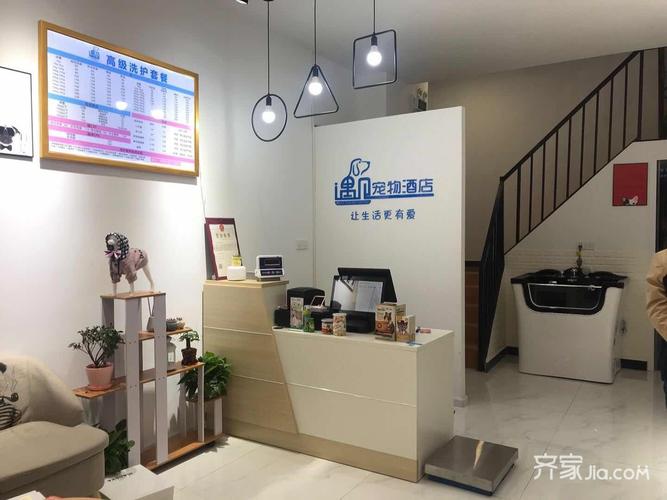 上海寵物店裝修?上海寵物店裝修公司!