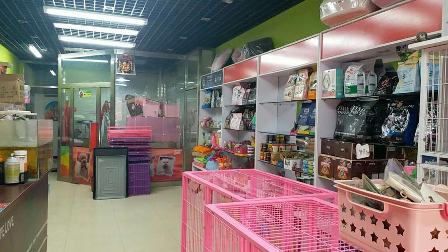北京寵物用品店?北京寵物用品店推薦!