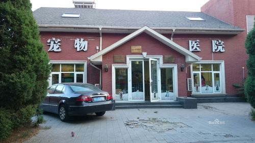 南京靠譜的寵物醫院?南京寵物醫院排行榜!