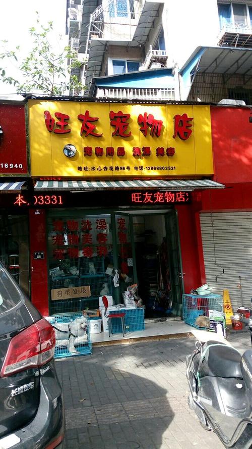 溫州寵物店哪家好?溫州寵物店哪家好一點!
