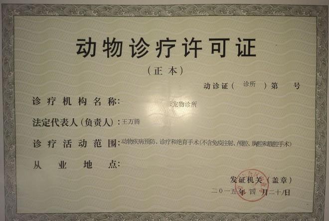 開寵物診所?開寵物診所需要什么手續和證件!