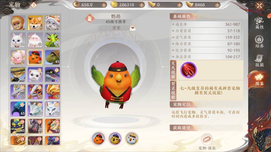 天龍八部寵物等級?天龍八部寵物等級過高無法交易!