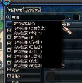 dnf寵物盒子?dnf寵物盒子在哪買!