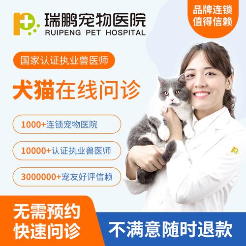 在線寵物醫生咨詢免費?在線寵物醫生咨詢免費24小時!