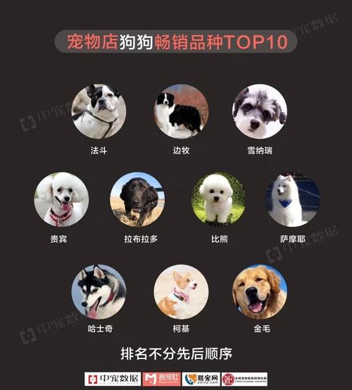 寵物店屬于什么行業?寵物店屬于什么行業類別!