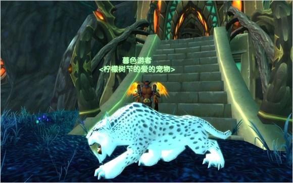 魔獸世界好看的寵物?魔獸世界好看的寵物寶寶!