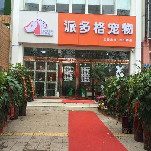 周口寵物店?周口寵物店哪家好!