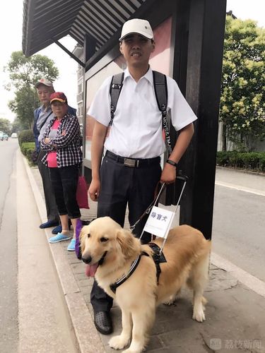 公交車允許帶寵物嗎?公交車允許帶寵物嗎現在!
