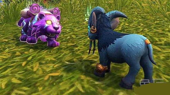 魔獸寵物變大?魔獸寵物變大了怎么辦!