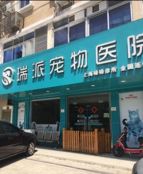 上海最好的寵物醫院?上海寵物醫院排名前十的是哪些!