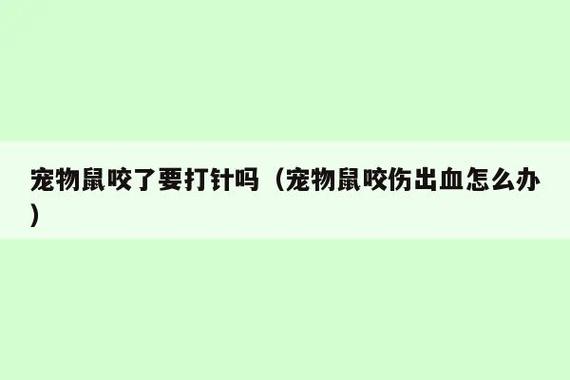 被寵物鼠咬了?被寵物鼠咬了需要打針嗎!