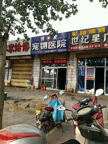 正規寵物醫院地址?正規寵物醫院地址在哪!