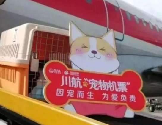 可以快遞寵物嗎?順豐可以快遞寵物嗎!