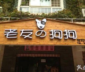 創意寵物店?創意寵物店名字!