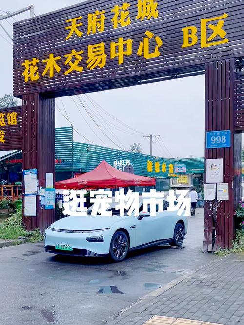 成都哪里有寵物市場?成都哪里有寵物市場最大最出名的寵物市場!