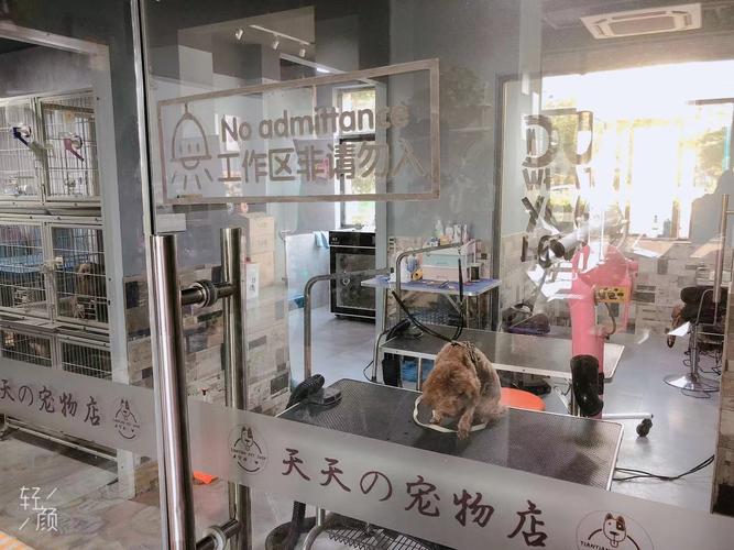 張家港寵物市場?張家港寵物市場在哪里!