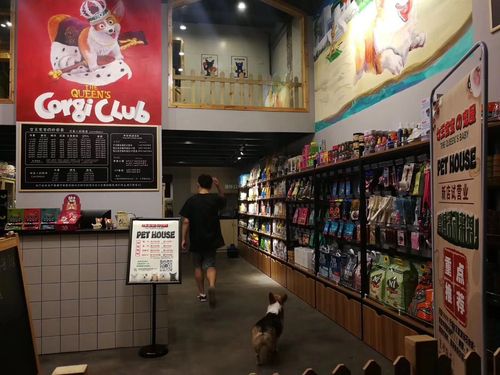 寵物店圖?寵物店圖片!